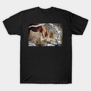 Lunchtime for Assateague Pony Gokey Gogo Bones T-Shirt